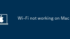 Wi-fi tidak berfungsi pada mac