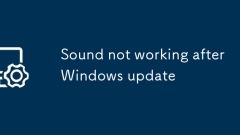 Le son ne fonctionne pas après la mise à jour de Windows