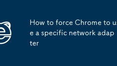 Comment forcer Chrome à utiliser un adaptateur de réseau spécifique