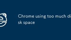 Chrome using too much disk space
