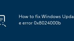How to fix Windows Update error 0x8024000b