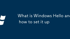 Apa itu Windows Hello dan Cara Menyediakannya