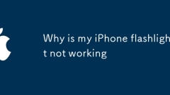 Warum funktioniert meine iPhone -Taschenlampe nicht?