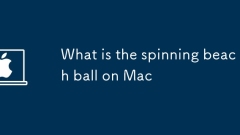 What is the spinning beach ball on Mac