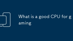 ??? ?? CPU? ??????
