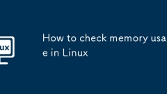 How to check memory usage in Linux