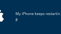 IPhone saya terus dimulakan semula