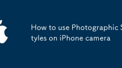 Cara menggunakan gaya fotografi pada kamera iPhone