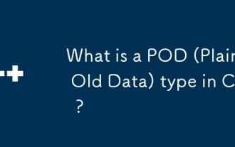 Qu'est-ce qu'un type POD (Old Data) en C?