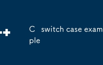 C switch case example