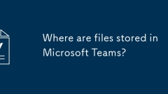 ??? Microsoft ?? ??? ??????