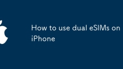 Cara Menggunakan Dual ESIMS di iPhone