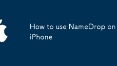 Cara menggunakan namedrop di iPhone