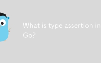What is type assertion in Go?