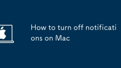 How to turn off notifications on Mac
