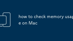 Comment vérifier l'utilisation de la mémoire sur Mac