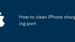 So reinigen Sie das iPhone -Ladeanschluss