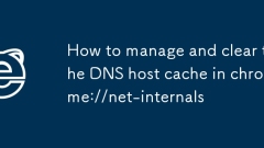 How to manage and clear the DNS host cache in chrome://net-internals