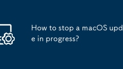 How to stop a macOS update in progress?