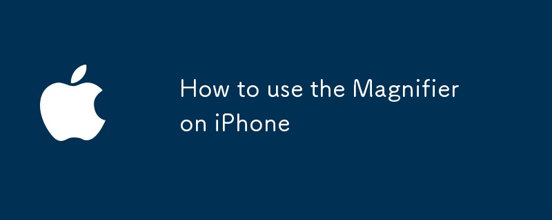 Cara menggunakan pembesar di iPhone