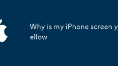 Warum ist mein iPhone -Bildschirm gelb?