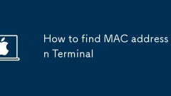 How to find MAC address in Terminal