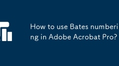 How to use Bates numbering in Adobe Acrobat Pro?