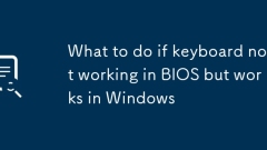 What to do if keyboard not working in BIOS but works in Windows