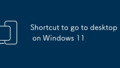 Windows 11? ?????? ???? ?? ??