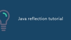 Java Reflection Tutorial