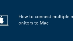 How to connect multiple monitors to Mac