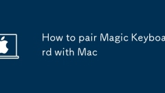How to pair Magic Keyboard with Mac