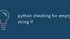 python检查是否为空字符串