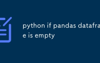 python if pandas dataframe is empty