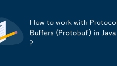 Java? ???? ?? (protobuf)? ?? ???? ??? ??????