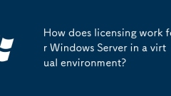 How does licensing work for Windows Server in a virtual environment?