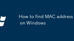 How to find MAC address on Windows