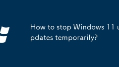 Windows 11 ????? ????? ???? ??? ??????