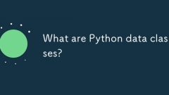什么是Python数据类?