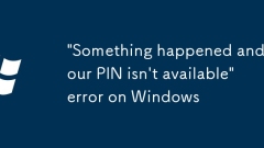 '?? ?? ???? ?? ??? ? ??'Windows?? ??? ?????.