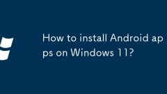 Windows 11? Android ?? ???? ??? ??????