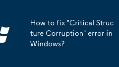 Windows?? 'Critical Structure Insuruption'??? ???? ??? ??????
