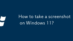 Windows 11?? ??? ?? ?? ???