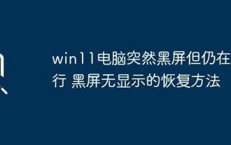 Win11 컴퓨터는 갑자기 검은 색 화면이지만 여전히 실행 중입니다. 디스플레이가없는 검은 색 화면이있는 복구 방법