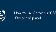 Chrome? 'CSS ??'??? ???? ??