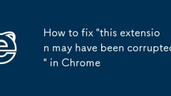 Chrome?? '? ??? ????? ? ????'? ??? ??