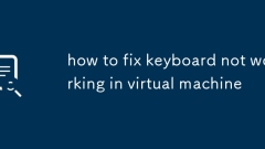 So reparieren Sie die Tastatur, die auf virtueller Maschine nicht funktioniert