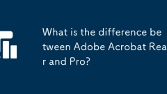 Was ist der Unterschied zwischen Adobe Acrobat Reader und Pro?