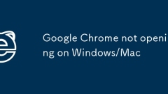 Google Chrome not opening on Windows/Mac