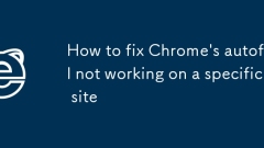 Comment réparer le automatique de Chrome ne fonctionne pas sur un site spécifique